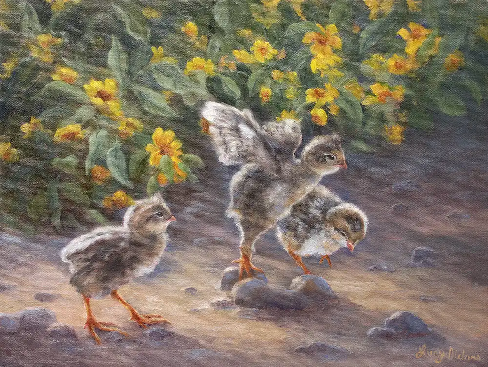 quail